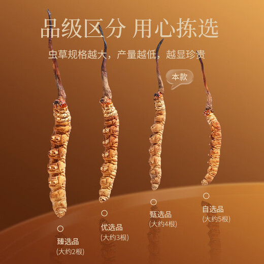 
Qilixiang Cordyceps sinensis 7.5g (30 roots) Qinghai Yushu New Dried Cordyceps Gift Box Cordyceps Cordyceps Good choice for group purchase gifts Gifts for parents and elders tonics