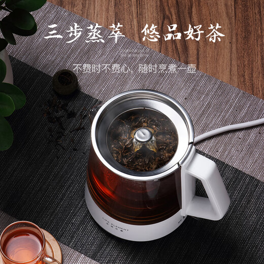 LIFE ELEMENT health kettle 0.8L office mini steam spray type automatic/manual double-speed tea kettle electric kettle private flower tea kettle I72