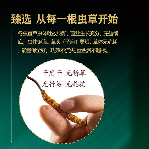 
Crystal grass Cordyceps sinensis health small pot tea birthday gift practical American ginseng Dendrobium saffron 20 cans gift box