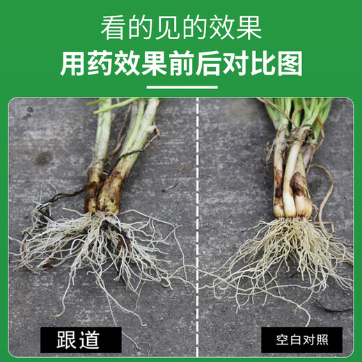 5% indolebutyric acid and naphthylacetic acid can be used for soaking grape cuttings to improve survival rate and drip irrigation rooting 20ml*4 bottles