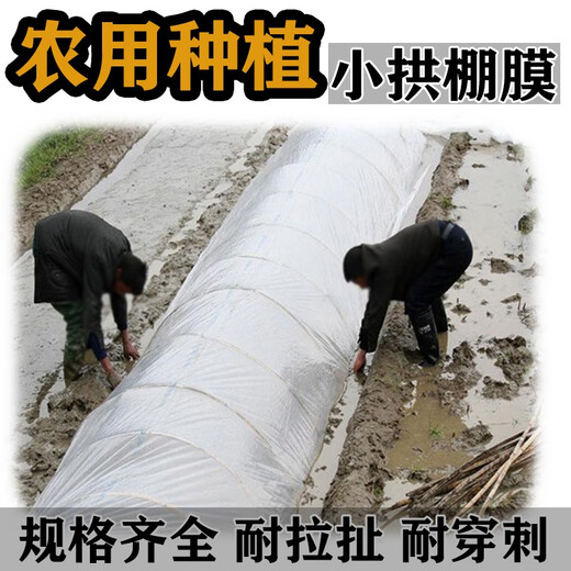 Litian white plastic film, small shed film plastic, thermal insulation and moisturizing vegetable greenhouse film, mulching film, waterproof plastic film, 4 wires thick, 2 meters wide and 10 meters long