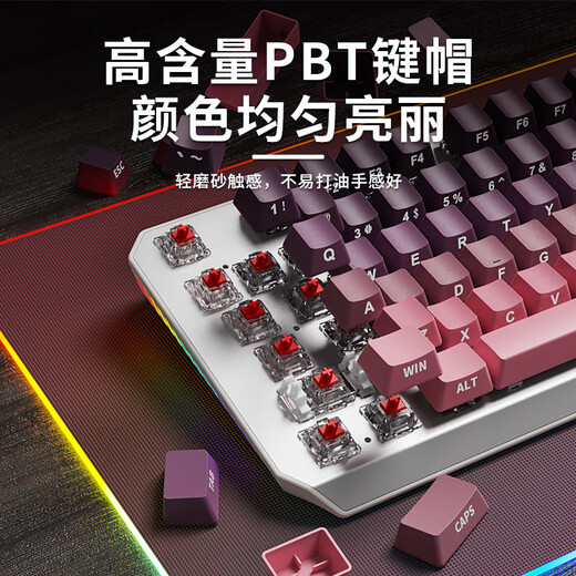 前行者（EWEADN）TK870无线蓝牙机械键盘鼠标套装有线三模可选黑莓侧刻高颜值客制化办公游戏电脑笔记本平板iPad用 银白正刻87键白光【有线键盘】 茶轴【办公码字】