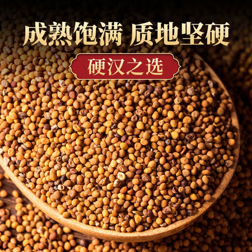 Peking Tongrentang Cuscuta Chinesische Kräutermedizin Innere Mongolei wilde Kaninchenseide in Wasser und Wein 250 Gramm Cuscuta [stärkere Nierenstärke]