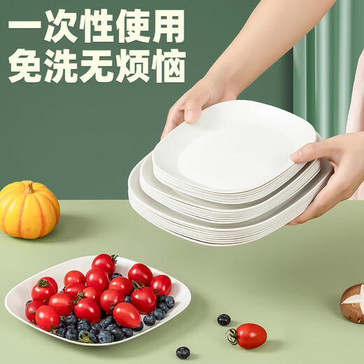 Rice husk disposable dinner plate, biodegradable, thickened, waterproof and oil-proof, barbecue fruit disc, camping and picnic utensils, 7-inch rice husk dinner plate, 10 pieces/set