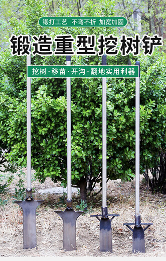 重型挖树锹锰钢加厚起苗洛阳铁铲户外断根铲子农用挖土坑神器铁锹 重型3523挖树锹驰不含杆