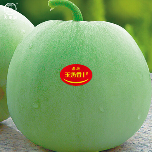 Dayu Jade Milk-flavored Melon Seeds Ding brand melon seeds super sweet thin-skinned milk-flavored melon Jade Milk-flavored Melon Seeds No. 1 20 capsules 3 bags