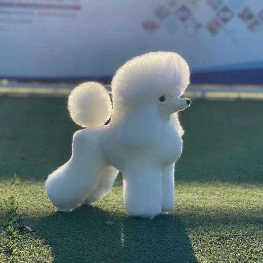 It It Rui pet grooming practice Teddy VIP fake hair model fake dog hair piece fake head hair fake back hair full body hair VIP primary practice hair does not include the skeleton