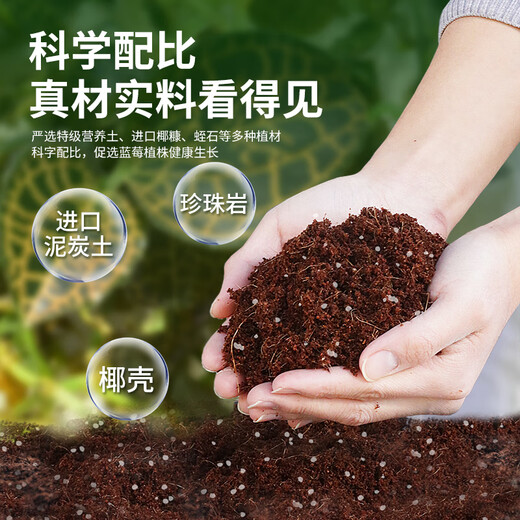 Devodo blueberry special nutrient soil 15L gardening vegetable soil green plant potted flower soil fruit and vegetable plant material organic planting soil
