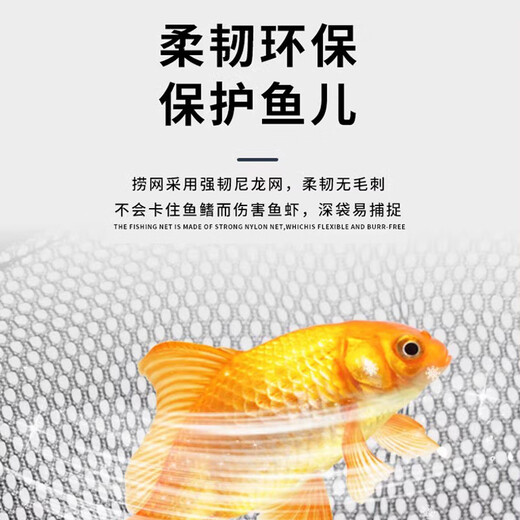 鱼多趣 不锈钢鱼捞中号 可伸缩渔捞鱼网手抄网家用小鱼捞网钓鱼专用渔网