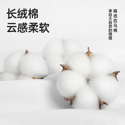 七匹狼【狼族生活】短袖t恤男夏季时尚休闲圆领纯棉打底衫简约百搭男装 702(深杏色) 175/92A/XL