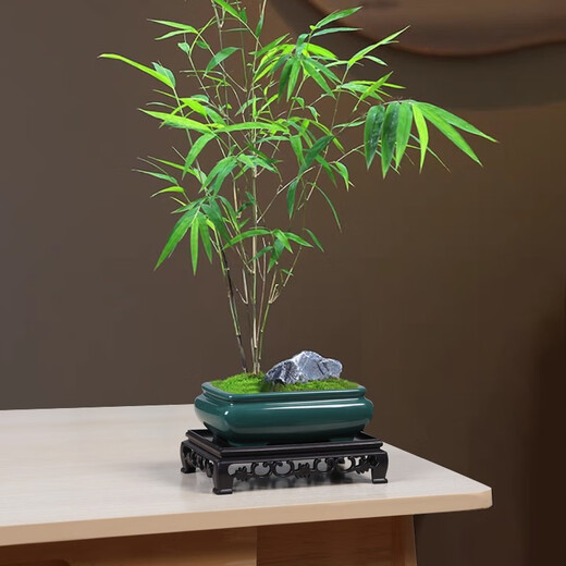 Yuxuantang rétro ge kiln fleur pot céramique argile violette petite feuille rouge nanmu papillon orchidée végétale verte salon intérieur en pot pott-bambou pot