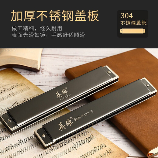 英雄进口音簧24孔单音铜格口琴单排单孔C调专业演奏高级成人初学乐器 单孔单音24孔G调【树脂琴格】