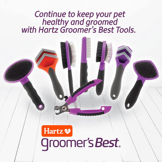HARTZ dual-purpose combing brush for cats and dogs, stainless steel teeth to remove floating hair, nylon bristles smooth and shiny, ergonomic handle