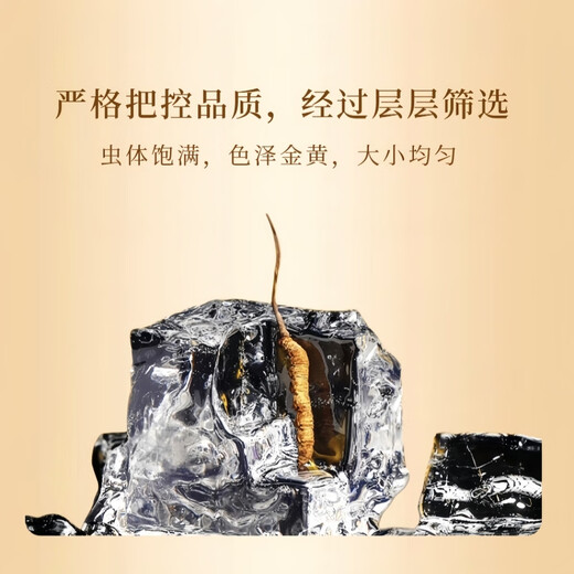 
Cordyceps gift box selection of high-altitude Cordyceps unbroken grass high quality gifts for self-eating nourishing and health care Tibet Nagqu Cordyceps 3 roots 1g total 10 packs