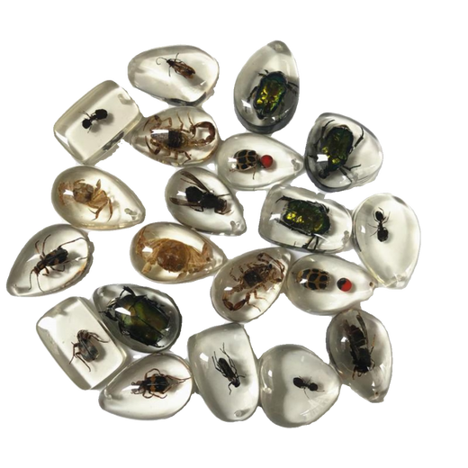 DL 1998 Valentine's Day gift for Fat Donglai, the same amber insect specimen pendant made of blind box resin glue ornaments, a small gold amber crab