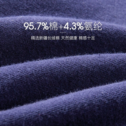 Langsha men's briefs 7A grade antibacterial men's comfortable cotton breathable briefs 4 pairs
