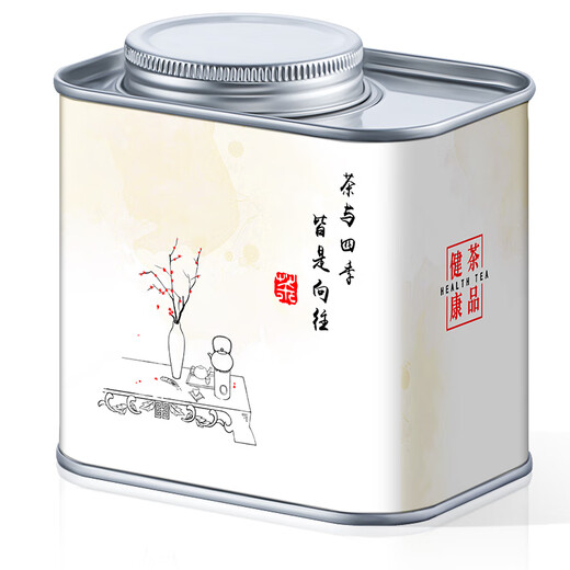 音朗乌龙茶叶 安溪铁观音 2025新茶春茶正宗兰花香清香高山茶罐装120g