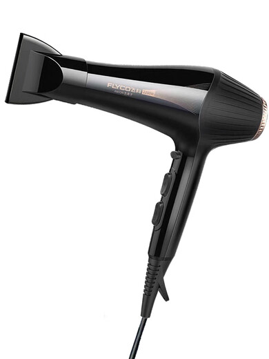 Feike Haartrockner FH6101 Friseursalon Spezieller Haartrockner negativer Ion ohne Beschädigung des Haar