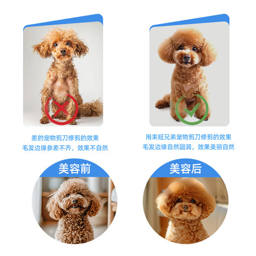 Laiwang Brothers Pet Grooming Scissors for Cats and Dogs Teddy Golden Retriever Hair Trimming and Hairdressing Supplies Curved Scissors and Downward Scissors 7 inches