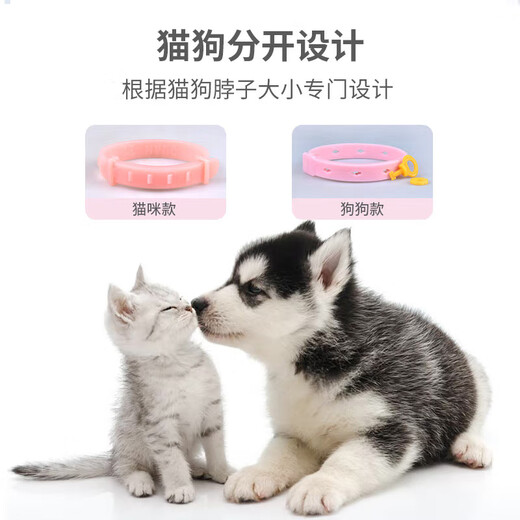 Huanpet.com Cat Repellent Collar Dog Cat Collar Collar Collar Puppy Small Dog Cat Kitten Pet Flea Collar