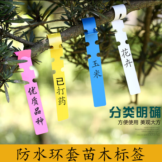Shipton PVC waterproof ring set flower plant label sapling gardening label plastic orchid label ring buckle tag ring set-yellow (100 photos)