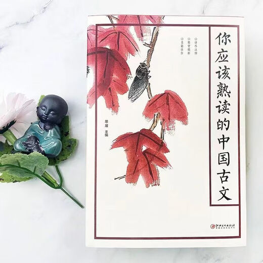 680页 厚本你应该熟读的中国古文中国古诗中国古词 国学经典阅读 中国古词
