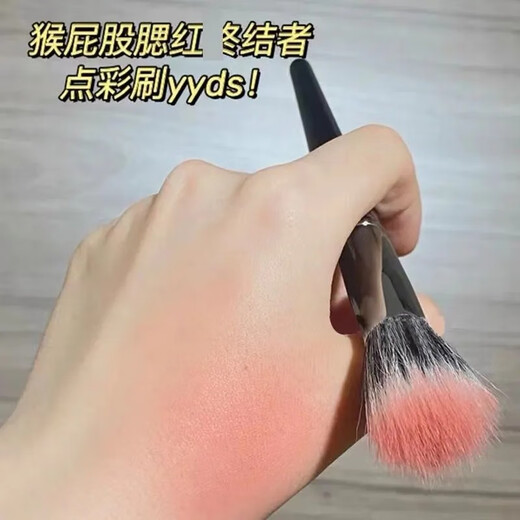 Bluethin Dot Color Brush Blush Blush Makeup Makeup Brush doux et non ondulage Face Laine Fine Brousse de support Brosse Contourage Brosse Loose Brosse Highlight Brosse Dot Brosse Couleur Brosse grande taille 1 Point Couleur Brosse petite taille 1