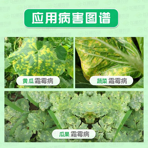 Sinochem Agrochemical Duplex Mancozeb Flumorpholine Cucumber Downy Mildew Late Blight Pesticide Fungicide 100g