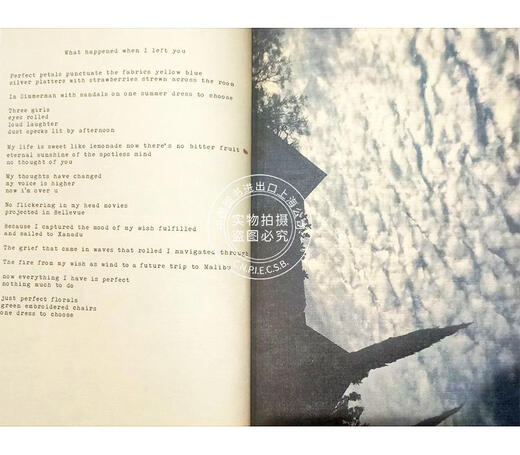 现货 打雷姐诗集 拉娜·德雷诗歌集 英文原版 Lana Del Rey 精装 Violet Bent Backwards Over the Grass 美国 歌手 打雷姐新书