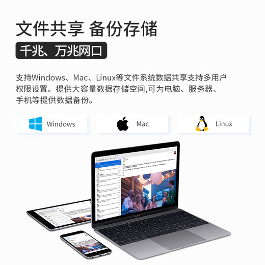 火蓝（Hoodblue）TS5000-2CN国产自主可控存储服务器国产信创龙芯NAS网络存储器磁盘阵列服务器 TS5024-2CN-384TB