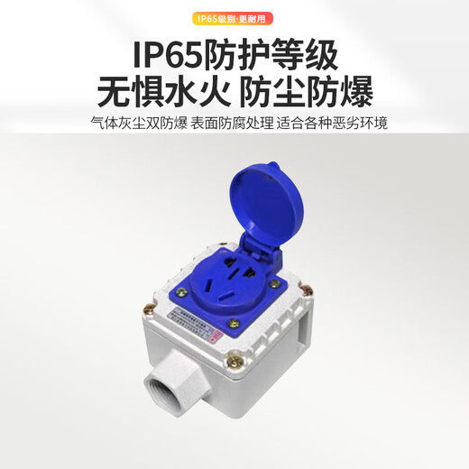 Liubei explosion-proof socket 220V five-hole 10A universal exposed and concealed multi-hole 86 type industrial waterproof outdoor socket one five-hole