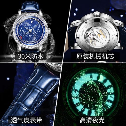 欧利时（OLEVS）瑞士认证品牌手表男机械表全自动男士手表夜光防水满天星时尚男表 欧利时-9923-银壳钻圈
