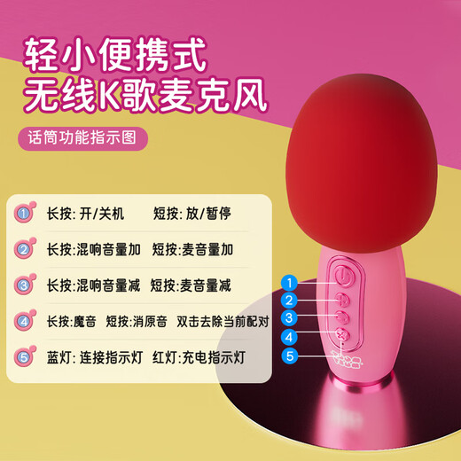 酷火儿童生日礼物女孩玩具3-6岁10话筒儿童礼物7-14岁小女孩女生女儿