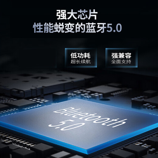 埠帝传世经典 黑金纪念版LM1875 LM3886功放整机 家用音响HIFI蓝牙5.0 LM1875整机2022款带蓝牙