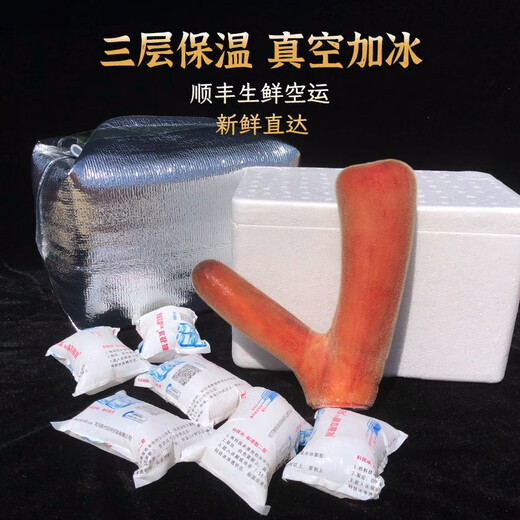 [New antler of the season] Yongcheng brand fresh sika deer antler pruned and can be sliced ​​2023 freshly cut high-quality first-crop two-bar blood soaked wine with Chinese herbal medicine gift box [100g] cut into the middle section of deer antler with knife