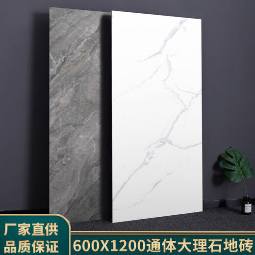 Foshan, Guangdong, Guangdong, baldosas de mármol 600x1200 Living Soom Flay Tiles Milky White Bathing Baño de pared White 600*1200