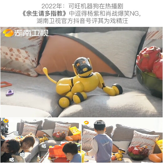 
Tianbo Zhi TBZ Kewang Dog Second Generation AI Intelligent Bionic Machine Animal Dog Programming Man Children's Early Education Toy Gift Birthday Holiday Gift Kewang Dog 2-Generation-Yellow