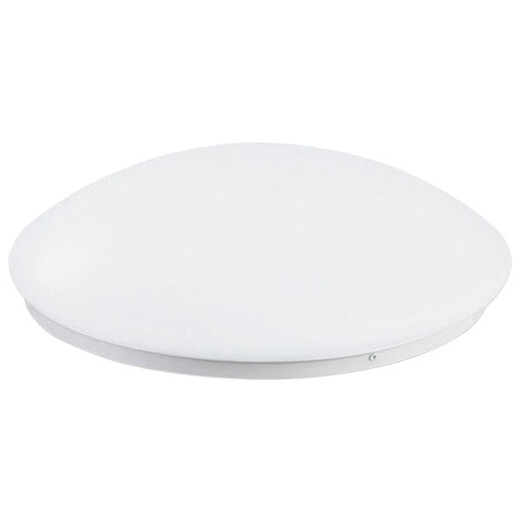 雷雷智光 LED雷达自动感应声光控吸顶灯家用过道楼道玄关车库用 人体感应灯 白色 21CM12w人体感应