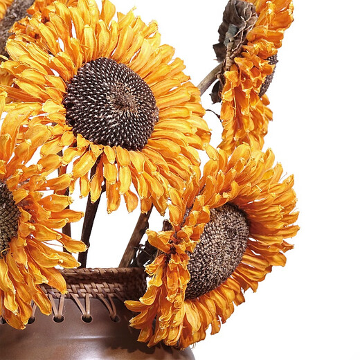 Aesthetic Hacker Sunflower Dried Flower Bouquet Dried Flower Real Flower Decoration Everlasting Flower Living Room Natural Sunflower Simulation Flower Floor Golden Single Real Flower Rod Length 50-70 cm