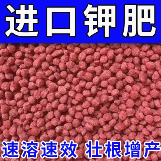 Canadian potassium chloride for fruit trees, vegetable flowers, agricultural water-soluble compound fertilizer, general fertilizer, potassium fertilizer granules, agricultural red potash fertilizer 20 Jin Jin equal to 0.5 kg (divided into 2 packs ten Jin Jin equal to 0.5 kg)
