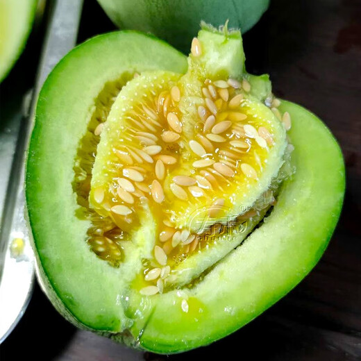 Shouhe Xinjiang Hami Melon Seeds Southern and Northern Early Maturing Super Sweet Xiangfei Reticulated Honeydew Melon Tokyo Crispy Treasure Melon Seeds 2g