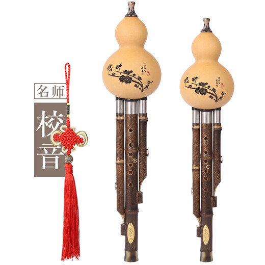 Yunnan Zizhulang Hulusi Musical Instruments Beginner Professional Performance Tuning Durable Seven-hole Zizhu Three-tone Hulusi C-down B-down DGF Primary School Student C-module No books