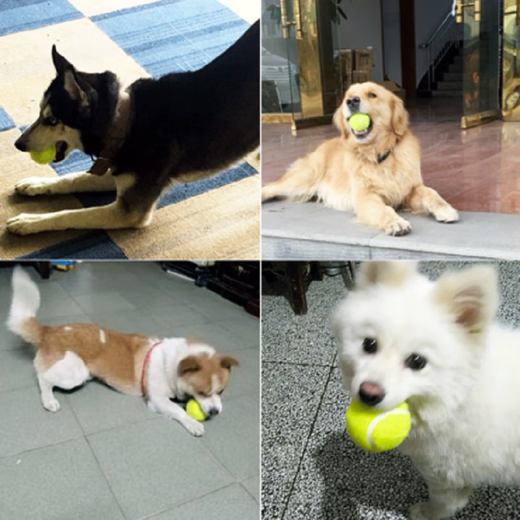Dog Toy Ball Golden Retriever Teddy Bouncy Ball Teeth Resistant Tennis Pet Puppy Labrador Puppy Training Pet Tennis Ball 2 Pack