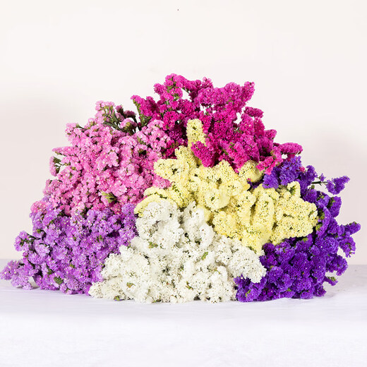 AIMAN Yunnan Forget-Me-Not Real Flowers Dried Flower Bouquet Home Furnishings Small Fresh Living Room Gypsophila Flower Arrangement Theory Jin Jin is equal to 0.5 kg. Sell a bouquet of red crystal flowers and dry branches.