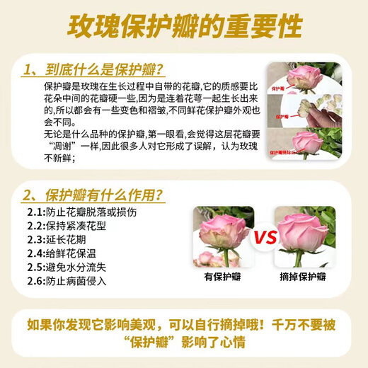 Yunnan flowers wholesale quality rose lily water-grown fresh cut flowers for your girlfriend’s birthday gift straight from the source Purple roses - 10 pieces (small buds, indefinite variety) Choose 2 pieces No shipping fee