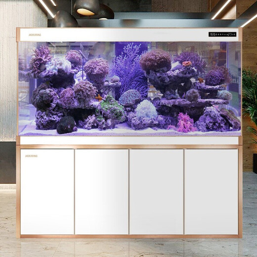 闽江（minjiang）大型鱼缸客厅家用落地底过滤水族箱生态免换水办公室风水龙鱼缸 黑色 81长39宽145高【无边款】+688过滤套餐