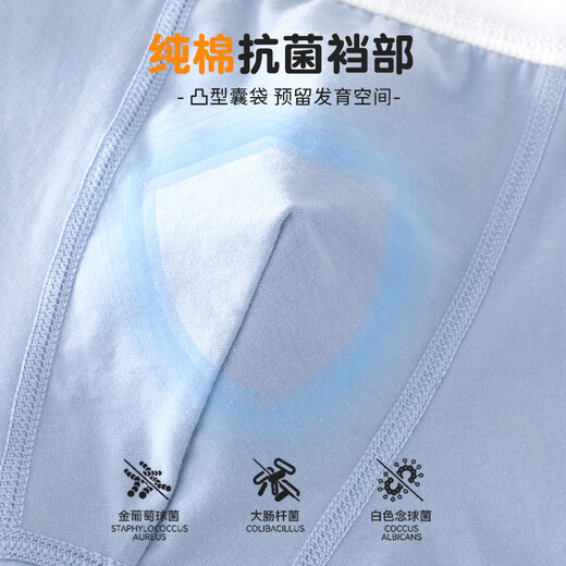 Ove Boy Boy Boxers Boxers маленький ребенок 12-летний мальчик Big Children Chotcon Boxer Shorts средние большие дети 11167 Morandi Color Shot One Size 4 штуки 150 см.
