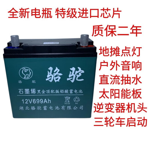 Village de Shantoulin 12V20A 60A Batterie de plomb à grande capacité Alimentation Alimentation Alimentation extérieure Audio 12V Batterie de camel Nouvelle batterie 12V699A + Chargeur intelligent