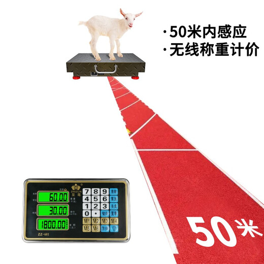 至尊（ZHIZUN）无线称重电子秤台秤商用秤做生意用大型分体式电子称地磅秤小型手提卖落地电子秤高精度收粮快递秤 300公斤、尺寸42*52防滑加厚