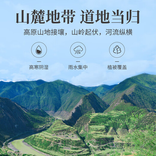 方家铺子中华老字号  当归100g当归片枸杞泡水养生茶党参煲汤补气血送长辈